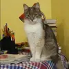 Отзыв от Ирина Коновалова